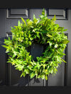 Greenery Spring Wreath w Hydrangea Sash